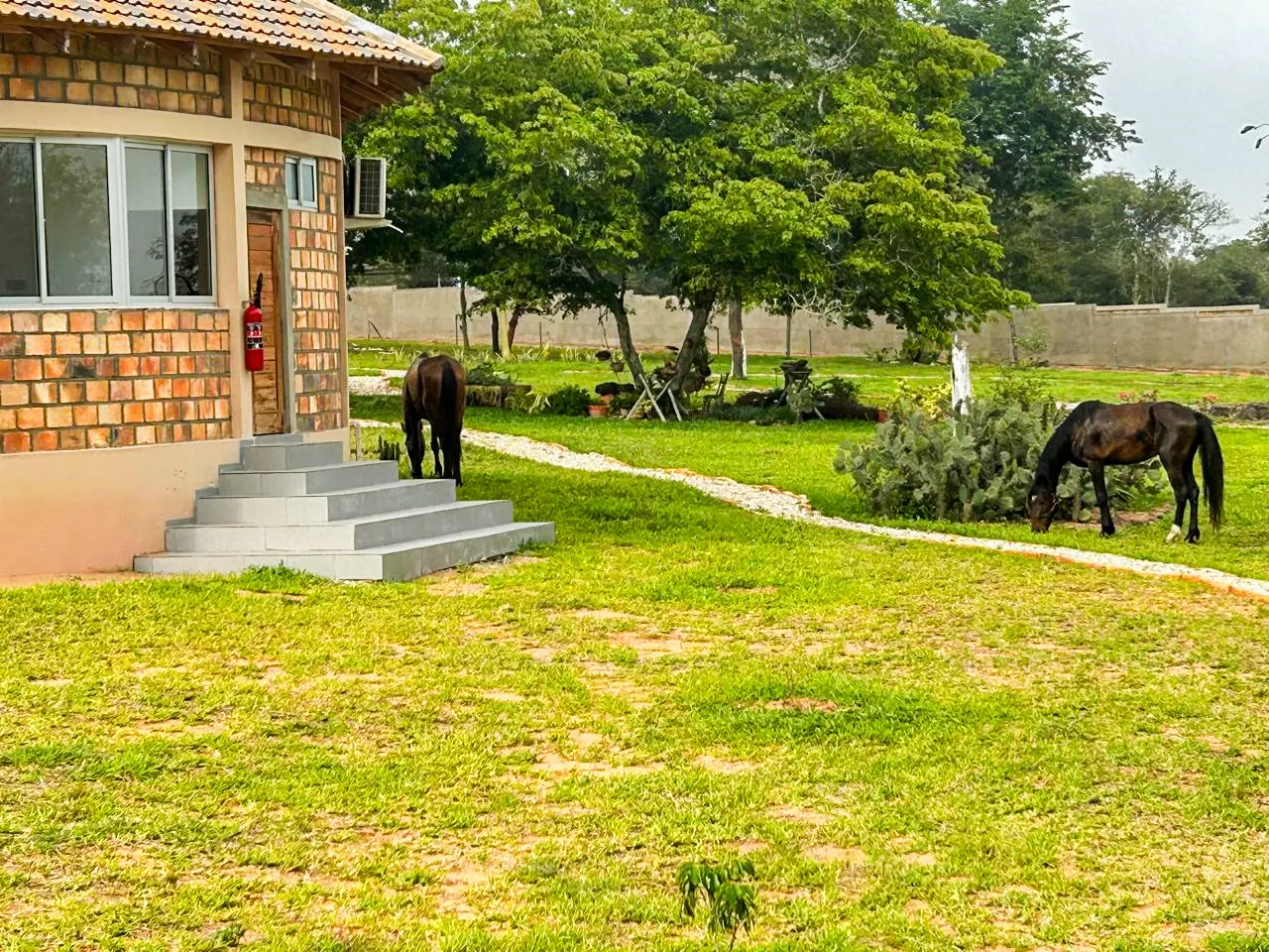 No dia 31 de Outubro de 2026, Nhatoko Resort recebe Torneio de Exibição de Natação em iniciativa de promoção da modalidade em Inhambane